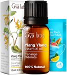 Gya Labs Ylang-Ylang Essential Oil for Diffuser - Natural Ylang Ylang Essential Oil for Skin - Ylang Ylang Oil for Hair Health, Aromatherapy & Candle Making (10ml)