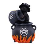 Nemesis Now Familiar Brew Backflow Incense Burner, Black, 18cm