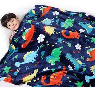 Lukeight Toddler Blanket for Boys and Girls, 380 GSM Thick Kids Blanket for Birthday Gifts, Cozy Baby Blanket, Plush Receiving Blanket (Dinosaur, 50x60 Inches)