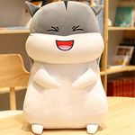 Lattice Plush Cute Hamster Soft Toy Ragdoll Doll Big Pillow Girl Sleeping Bed Cute Girl Birthday Gift for Kids 35 cm