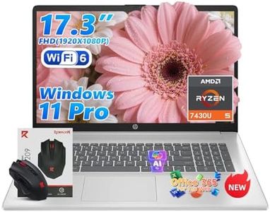 HP 17 inch
