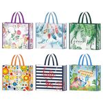 NymphFable 6 Pack Shopping Bags Reusable Grocery Tote Bags 50LBS Recycling Non-woven Bags-6 Styles