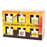 Raw Honey Selection Gift Set 6 x 50g - Gift Pack of Award Winning Honey