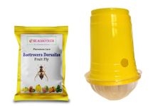Pheromone Fruit Fly Trap with Fruit Fly pheromone Lure (bactocera Dorsalis) for Fruit Crops (100)