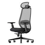ProtoArc EC200 Ergonomic Office Chair - High Back Computer Desk Chair with 2-Way Adjustable Lumbar Support, Seat Depth & 3D Headrest, Mesh Swivel Desk Chair for Home & Office, Black
