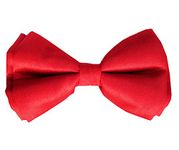 RR Design Jumbo Size Adjustable Fashion Party, Function, Weeding Cum Formal Costume Neck Bow Tie Cum Necktie for Dog/Puppy/Cat/Kitten (M, Red)