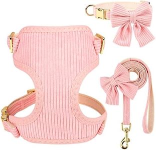 Didog Cute