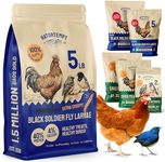 Hatortempt Black Soldier Fly Larvae for Chickens 5LB - Organic Dried BSF Larva Chicken Treat - Protein Snack for Laying Hen, Birds & Reptiles - Non GMO Treat - Calcium Snacks for Chickens