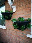 Plantopia 3 x Easy Fill Wall Mount Hanging Baskets/Planters, Black 20", FREE Express Delivery