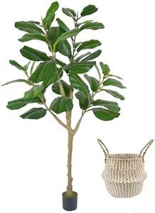 Warmplants