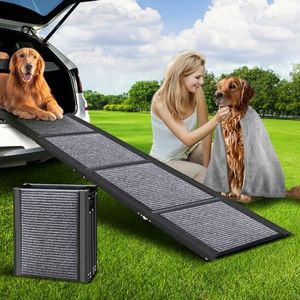 Dog Ramp f