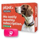 PitPat GPS Dog Tracker No Monthly Fees - Suitable for All Dogs And Fits All Collars - Smart Activity Tracker, Satellite Tracking With Unlimited Range - 100% Waterproof Pet Tracker (Pink)