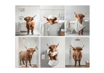 Highland Cow Wall Art Farmhouse Barhroom Wall Decor Highland Cow Canvas Prints Unframed Poster Set of 6 Catter Picture 8x10inchx6pcs (No Frame)