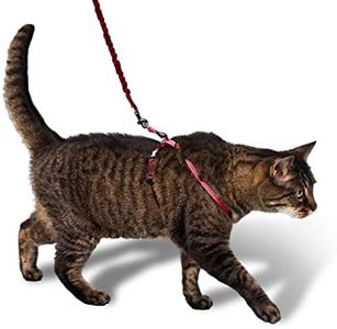 PetSafe Harnais pour Chats Easy Walk avec Laisse élastique - Promenade en Toute sécurité - Taille réglable - Grand (L), Rouge