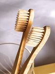 Natural Bristle Toothbrushs