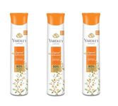 Yardley London Sandalwood Deodorant For Women 150-ML (Pack of 3)