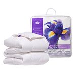 Canadian Down & Feather Co. - Regular Weight Canadian Hutterite Goose Down Duvet Queen Size - 400 TC Shell 100% Cotton - Made in Canada