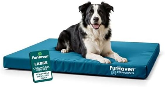 Furhaven P