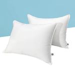 bien LIVING Extra Soft Down Alternative Pillow, 233 TC 100% Cotton Fabric with Down Proof Finish, Sleeping Pillow, 17 X 27 Inch, White (Pillow Set of 2)