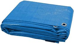 EPISENT| Blue Tarpaulin | Multi-Purpose Polythene Woven | Heavy Duty Waterproof Plastic Sheet | Tarp Sheet Cover | UV Resistant Ground Sheet | (10' Feet x 12' Feet)