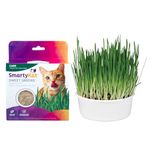 Worldwise Smartykat Sweet Greens Cat Grass Kit