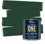 THE ONE Paint & Primer: Most Durable Furniture Paint, Cabinet Paint, Front Door Paint, Wall Paint, Bathroom, Kitchen, Quick Drying Craft Paint for Interior/Exterior (Green, Gloss, 8.5oz)