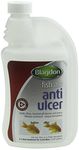 Blagdon Anti-Ulcer Treatment for Pond Fish, Effective, Unique Formulation, Treats Ulcers, Bacterial Gill Disease & Dropsy, 500 ml