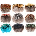 MWOOT 9 Styles Assorted Crafts Feathers, 180Pcs DIY Dreamcatcher Crafts Art Decor Feathers, DIY Earring Wings Carnival Party Mask Activities Project Accessories Small Feather - Mixed Green Blue Brown