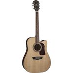 Washburn Acoustic Guitars