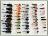 Gold Head Nymph & Buzzer Trout Fishing Flies, 50 in Pack, Mixed Size 10/12 Good Winter Choice