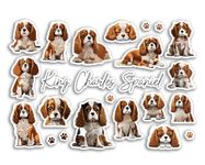 A5 Sticker Sheet King Charles Spaniel Vinyl Stickers - Cavalier Dog Puppy Pet Breed Animals Scrapbooking Label Girls Boys Aesthetic #81515