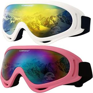 Ski Goggle