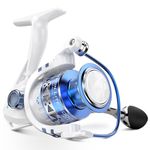 KastKing Summer and Centron Spinning Reels, 9 +1 BB Light Weight, Ultra Smooth Powerful.
