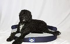 Sealy Zen Premium Round Dog Bed, La