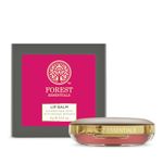 Forest Essentials Luscious Lip Balm Sugared Rose Petal | Ideal for Moisturizing Dry & Chapped Lips | Natural Lip Balm To Soften & Moisturize Lips With Glossy Finish | For Men & Women | 4 g