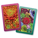 Springbok Succulents Standard Index Playing Cards Set