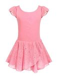 Arshiner Girls Ruffle Sleeve Skirted Leotard Ballet Dance Dresses Pink