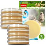 Potato Dextrose Agar Plates - Evviva Sciences - Prepoured Potato Dextrose Agar PDA Petri Dishes - Excellent Growth Medium - Great for Mushrooms & Science Fair Projects