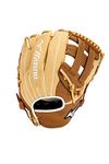 Mizuno Baseball Gloves