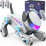 SIMREX Robot Dog Toys for Kids – Sm
