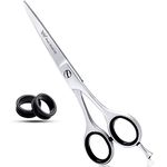 Focus World Hairdressers Scissors 6.5 Inch Barber Hair Scissors for Professional Hairdressing of Men & Women - Japanese Stainless Steel, Silver, 6.5 Inch, 1.0 count