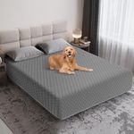 TAIKURA Single-Sided Waterproof Dog Bed Cover, Antislip Pet Blanket Sofa Couch Furniture Protector Washable for Puppy Large Dog Cat (208 * 259CM)