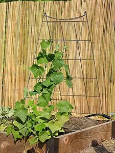 Gardeners 