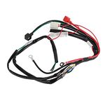 Electric Engine Start Wiring Loom Harness for Pit Bike Motorcycle ATV Quad 70cc 90cc 110cc 125cc Powersports Ignition Coils Engine Start Harness Unive