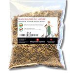 Ma Poule Express - Dried Black Soldier Fly Larvae Chicken Treats for Chicken, Hens, Duck, Bird, Lizard, Tortoise - High Protein - 1 Pound