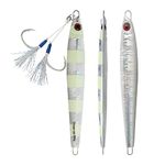 OCEAN CAT 1 PC Lead Metal Flat Slow Fall Pitch Fishing Jigs Lures Sinking Vertical Jigging Bait with Butterfly Hook for Saltwater Fishing Size 40g 80g 120g 160g 200g (Silver, 160g)