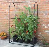 Haxnicks Tomato Crop-Booster Frame | W 100cm x H 160cm x D 50cm | FRAME210101