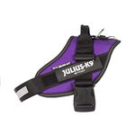 IDC Powerharness, Size: M/0, Dark Purple