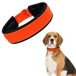 AIK India Dog Collar For Small Medium Large Dogs, Soft Padded Dog Belt Neck Collar, Dog Belt For Medium Dogs Beagle, Pug, Boxer, Shiba Inu, Tibetan Terrier(Medium),53 Cm X 2.5 Cm