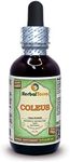 Coleus (Coleus Forskohlii) Glycerite, Dried Root Alcohol-FREE Liquid Extract 2 oz